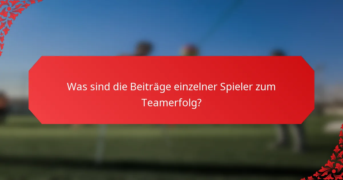 Was sind die Beiträge einzelner Spieler zum Teamerfolg?